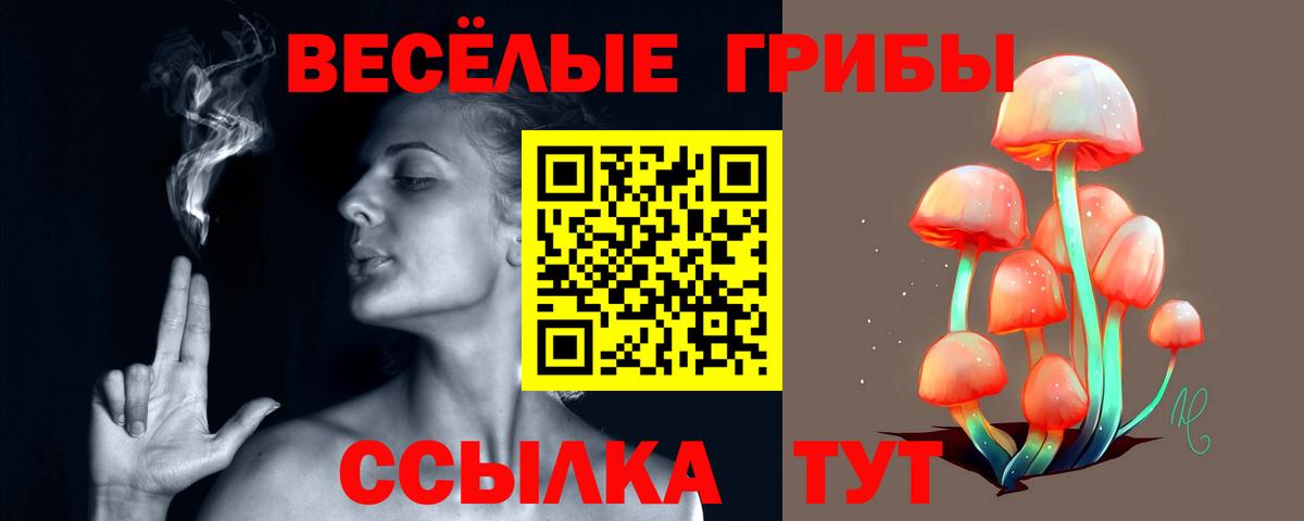 Псилоцибиновые грибы MAGIC MUSHROOMS  Вход с VPN  Галлюциногенные грибы прущие грибы  Асбест 